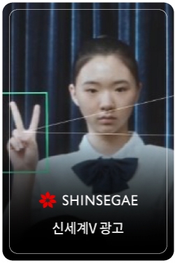 V로 사는 세상